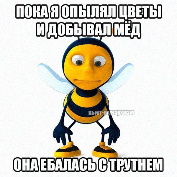 600x600