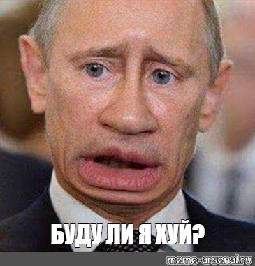 365x381